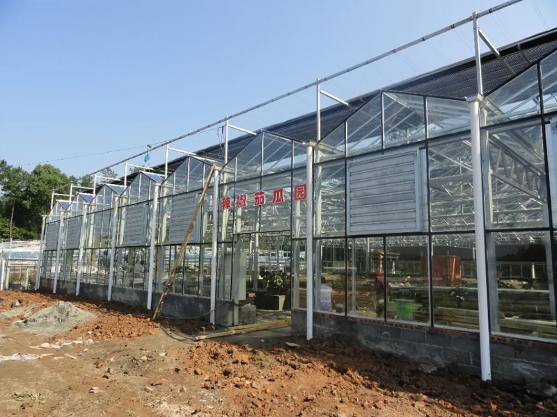 陽(yáng)光板溫室