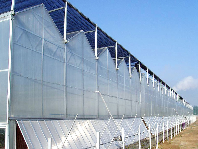 陽(yáng)光板溫室